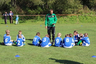 开云体育app在线-新加坡队在国际乒联混合团体世界杯的战术执行力与技术突破，乒乓 新加坡